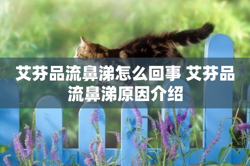 艾芬品流鼻涕怎么回事 艾芬品流鼻涕原因介紹