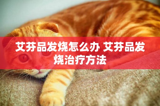 艾芬品發燒怎么辦 艾芬品發燒治療方法