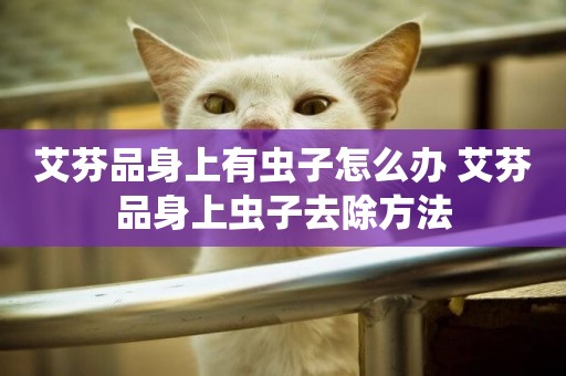 艾芬品身上有蟲子怎么辦 艾芬品身上蟲子去除方法