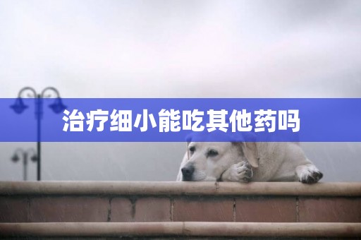 治療細小能吃其他藥嗎