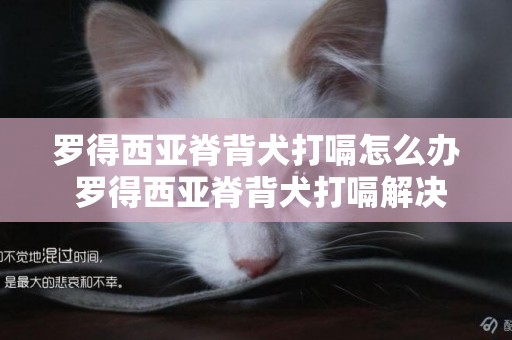 羅得西亞脊背犬打嗝怎么辦 羅得西亞脊背犬打嗝解決辦法