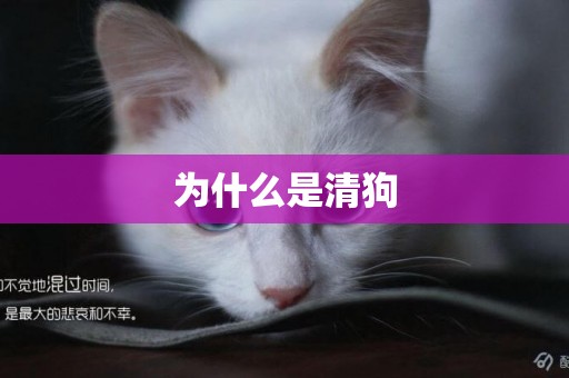 為什么是清狗