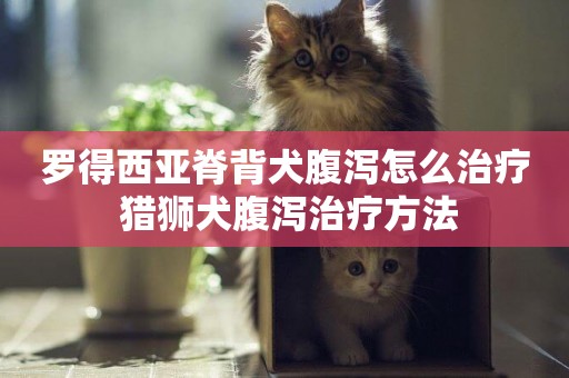 羅得西亞脊背犬腹瀉怎么治療 獵獅犬腹瀉治療方法
