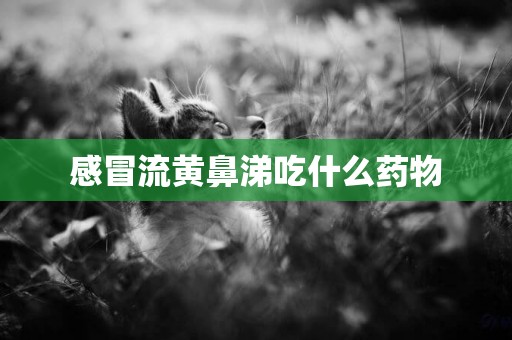 感冒流黃鼻涕吃什么藥物