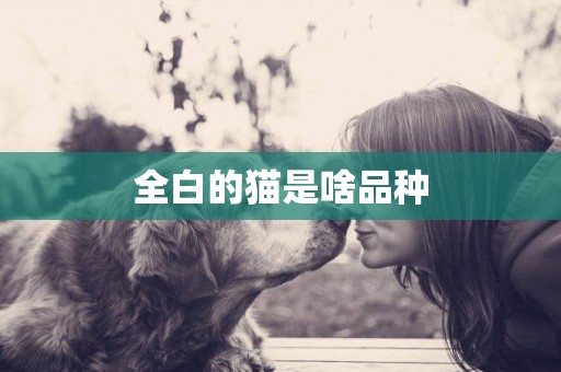 全白的貓是啥品種