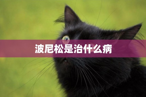 波尼松是治什么病