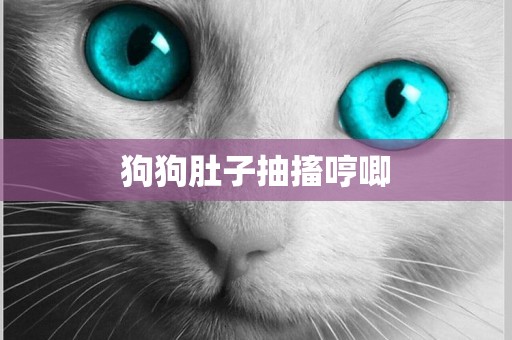 狗狗肚子抽搐哼唧