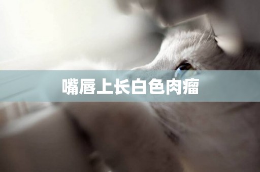 嘴唇上長白色肉瘤