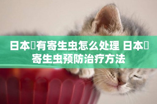 日本狆有寄生蟲怎么處理 日本狆寄生蟲預防治療方法