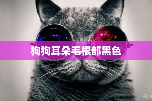 狗狗耳朵毛根部黑色