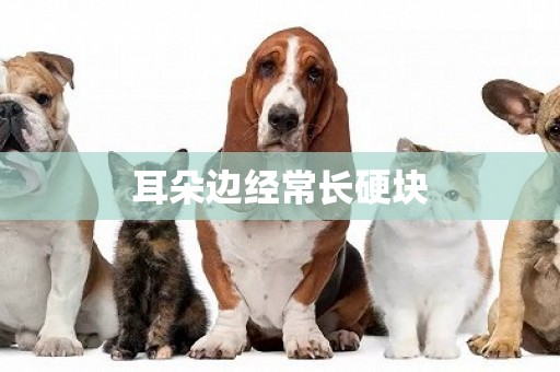 耳朵邊經常長硬塊