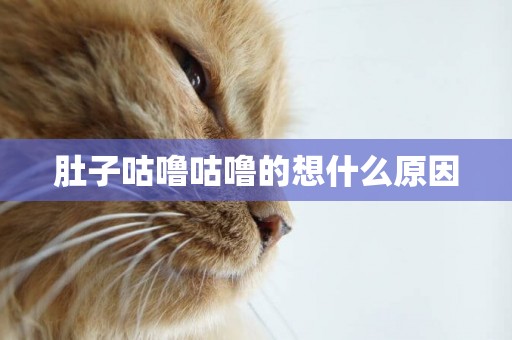 肚子咕嚕咕嚕的想什么原因
