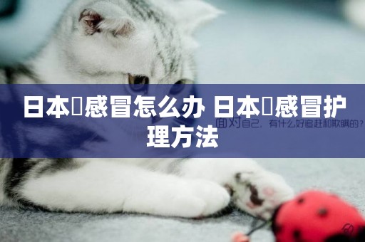 日本狆感冒怎么辦 日本狆感冒護理方法