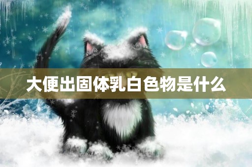大便出固體乳白色物是什么