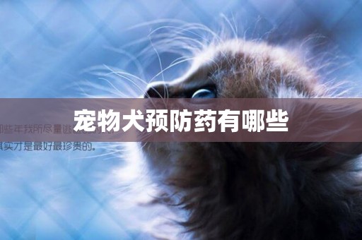 寵物犬預防藥有哪些