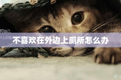 不喜歡在外邊上廁所怎么辦