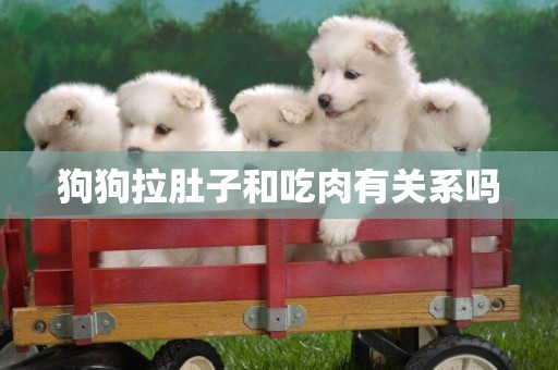 狗狗拉肚子和吃肉有關系嗎