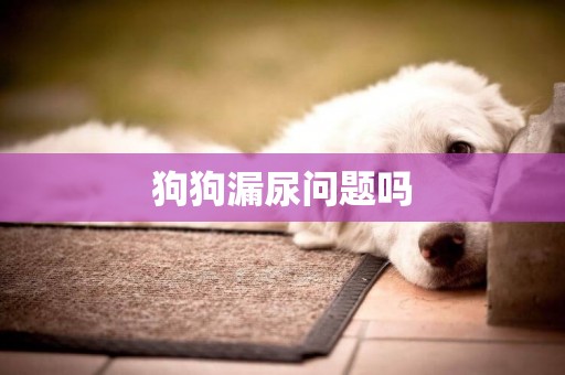 狗狗漏尿問題嗎