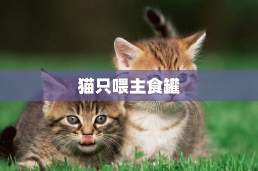 貓只喂主食罐