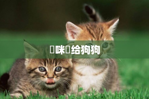 媽咪愛給狗狗