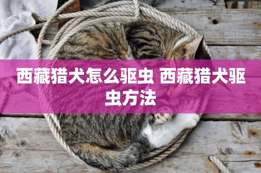 西藏獵犬怎么驅蟲 西藏獵犬驅蟲方法
