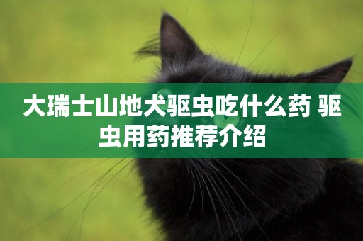大瑞士山地犬驅蟲吃什么藥 驅蟲用藥推薦介紹