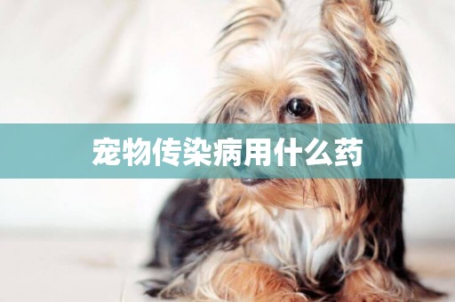 寵物傳染病用什么藥