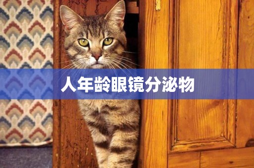 人年齡眼鏡分泌物