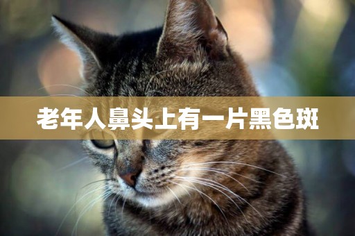 老年人鼻頭上有一片黑色斑