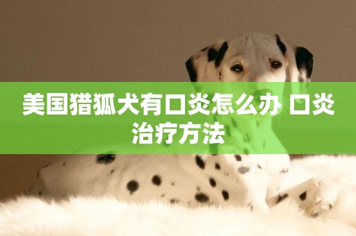 美國獵狐犬有口炎怎么辦 口炎治療方法