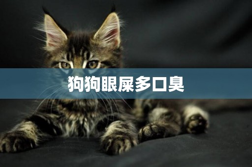 狗狗眼屎多口臭