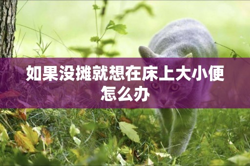 如果沒攤就想在床上大小便怎么辦