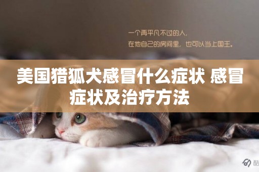 美國獵狐犬感冒什么癥狀 感冒癥狀及治療方法