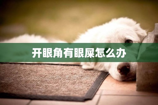 開眼角有眼屎怎么辦