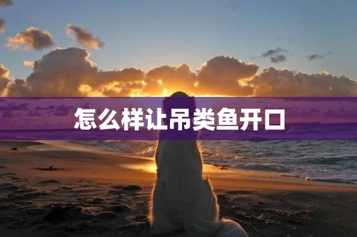 怎么樣讓吊類魚開口