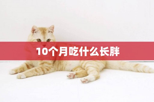 10個月吃什么長胖
