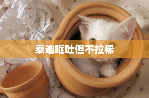 泰迪嘔吐但不拉稀