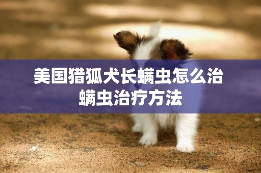 美國獵狐犬長螨蟲怎么治 螨蟲治療方法