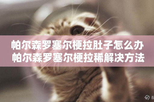 帕爾森羅塞爾梗拉肚子怎么辦 帕爾森羅塞爾梗拉稀解決方法