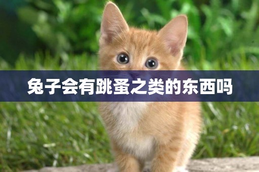 兔子會有跳蚤之類的東西嗎
