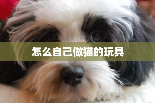 怎么自己做貓的玩具