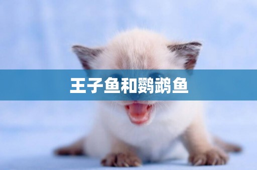 王子魚和鸚鵡魚