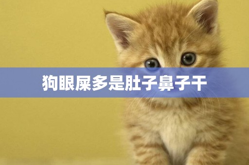 狗眼屎多是肚子鼻子干
