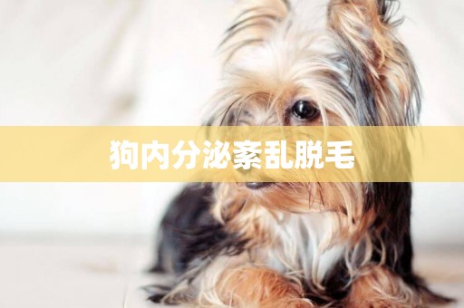 狗內分泌紊亂脫毛