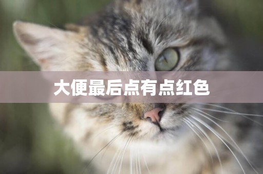大便最后點有點紅色