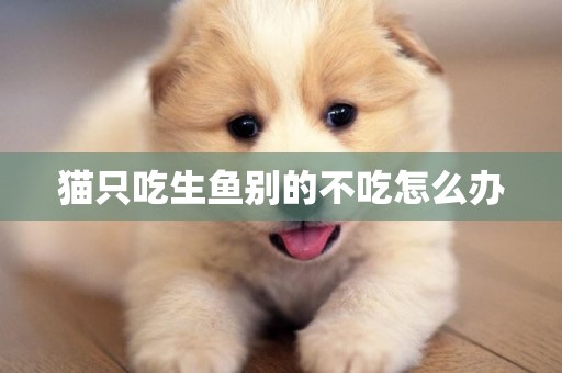 貓只吃生魚別的不吃怎么辦