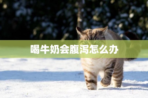 喝牛奶會腹瀉怎么辦