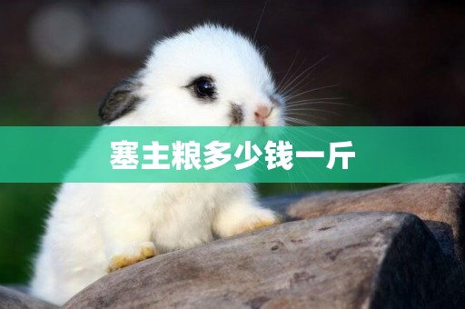 塞主糧多少錢一斤