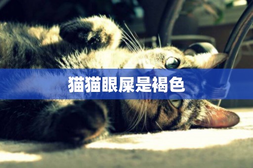 貓貓眼屎是褐色