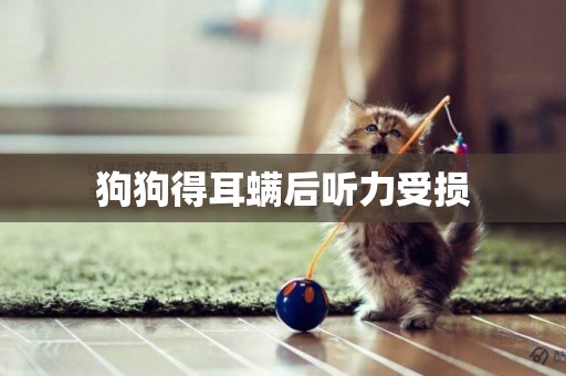 狗狗得耳螨后聽力受損